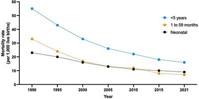 Are the first 1,000 days of life a neglected vital period to prevent the impact on maternal and infant morbimortality of infectious diseases in Latin America? Proceedings of a workshop of experts from the Latin American Pediatric Infectious Diseases Society, SLIPE